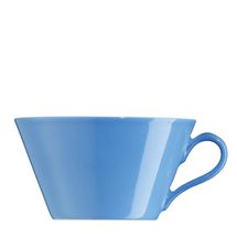 arzberg-tric-blauw-soepkop.jpg