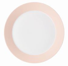arzberg_tric_dinerbord_27cm_soft_rose_1.jpg