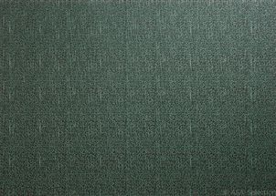 ASA Selection Placemat - PVC Woven - Groen - Geweven - 46 x 33 cm