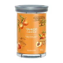 Yankee Candle Geurkaars Large Tumbler - met 2 lonten - Farm Fresh Peach - 15 cm / ø 10 cm