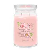 Yankee Candle Geurkaars Large - met 2 lonten - Fresh Cut Roses - 16 cm / ø 9 cm