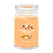 Yankee Candle Geurkaars Large - met 2 lonten - Mango Ice Cream - 16 cm / ø 9 cm