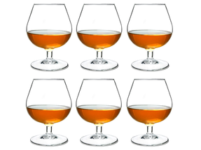 Arcoroc Cognac Glazen Degustation 250 ml - 6 Stuks