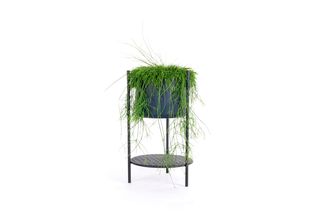 XLBoom bloempot-plantenbak Ent small 56 cm