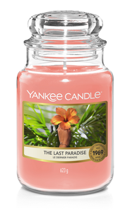Vela Perfumada Yankee Candle Grande Peppermint Pinwheels - 17 cm / ø 11 cm  kopen?