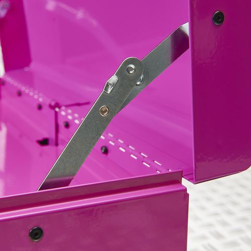 scharnier-51101-pink-DSC1169 roze.jpg